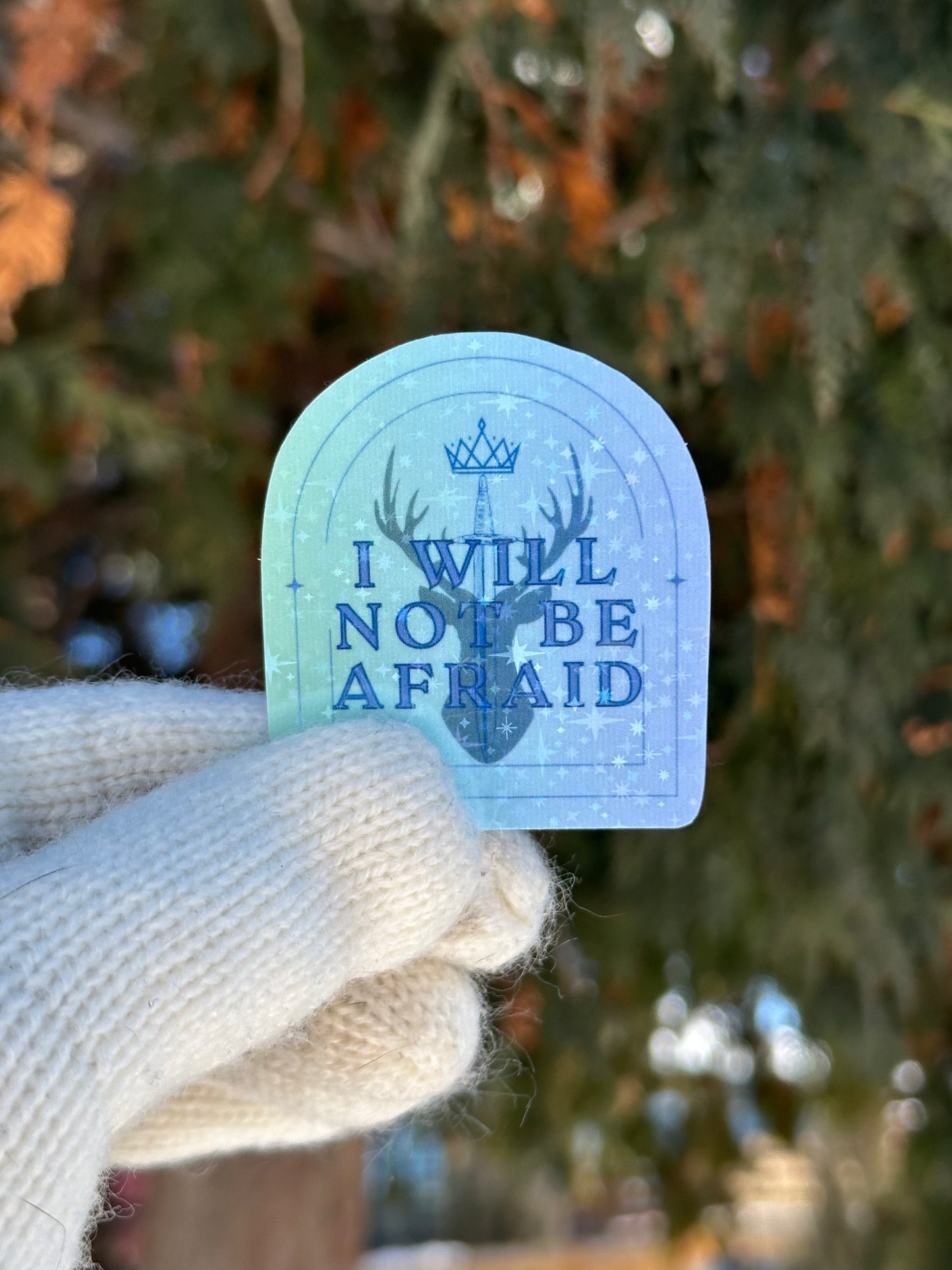 “I Will Not Be Afraid” Vinyl Sticker – Throne of Glass Inspired, Empowered Book Girlies Collection