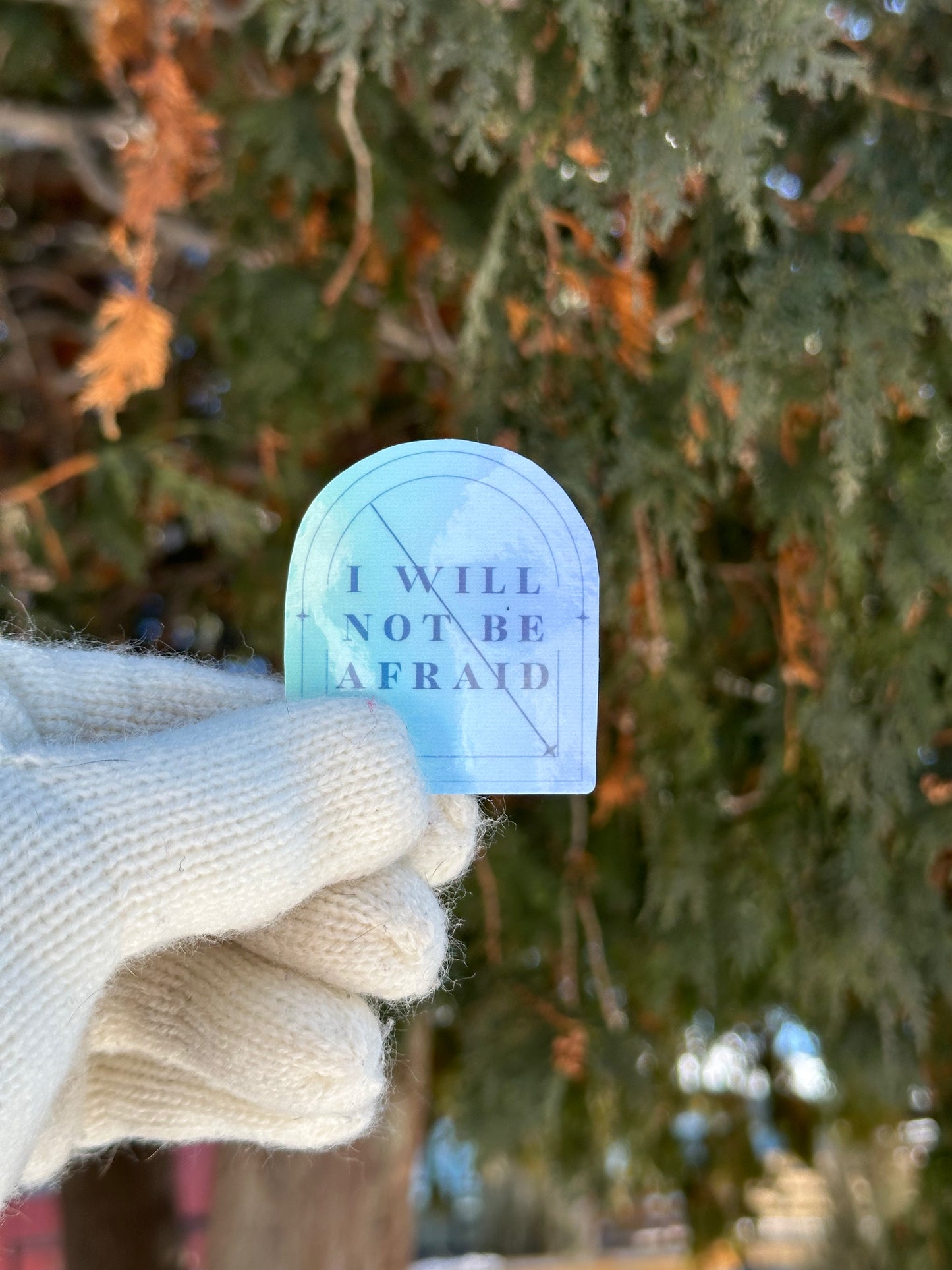 “I Will Not Be Afraid” Vinyl Sticker – Empowered Book Girlies Collection