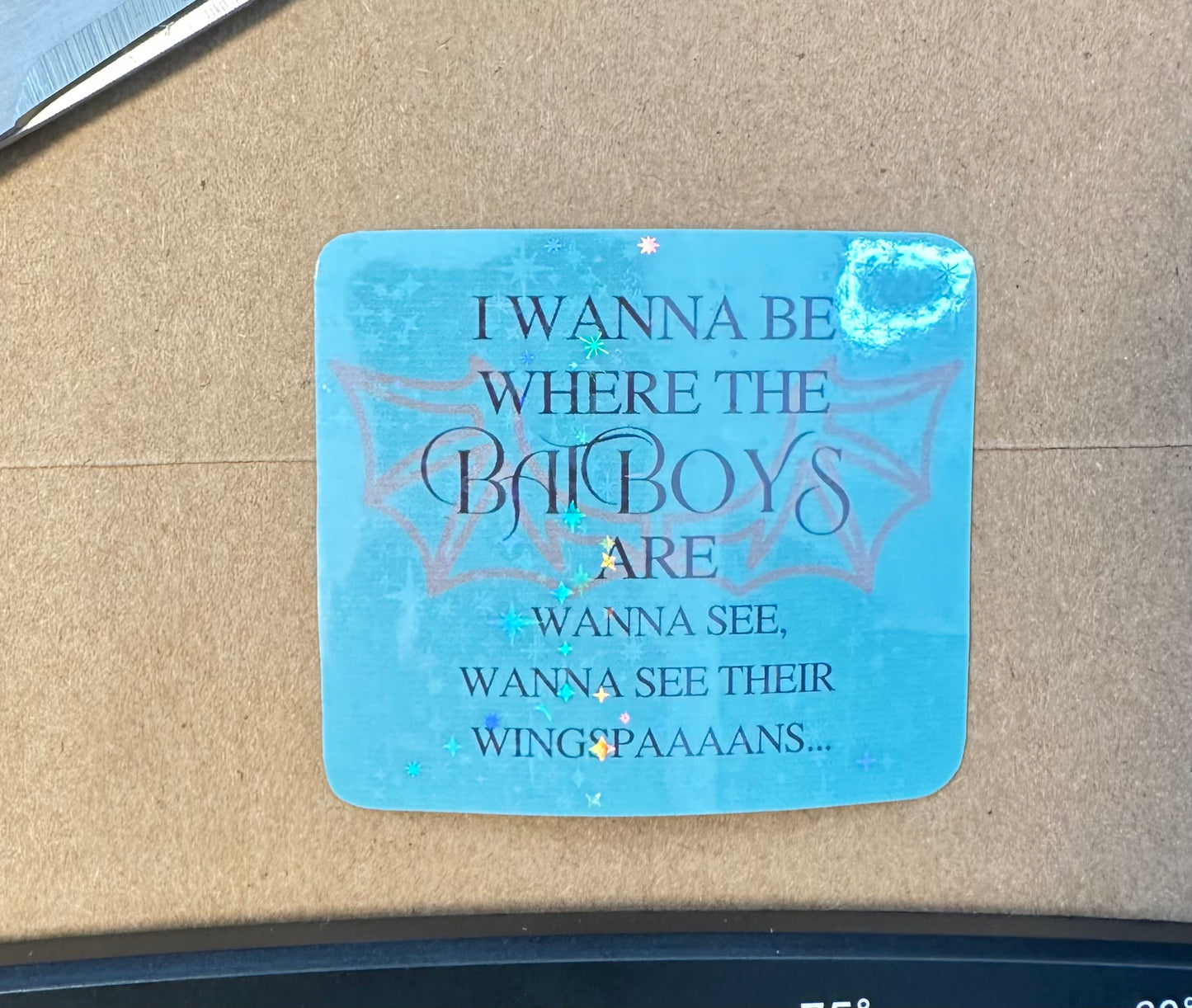 I Wanna Be Where the Bat Boys Are Vinyl Sticker – ACOTAR Inspired, Empowered Book Girlies Collection