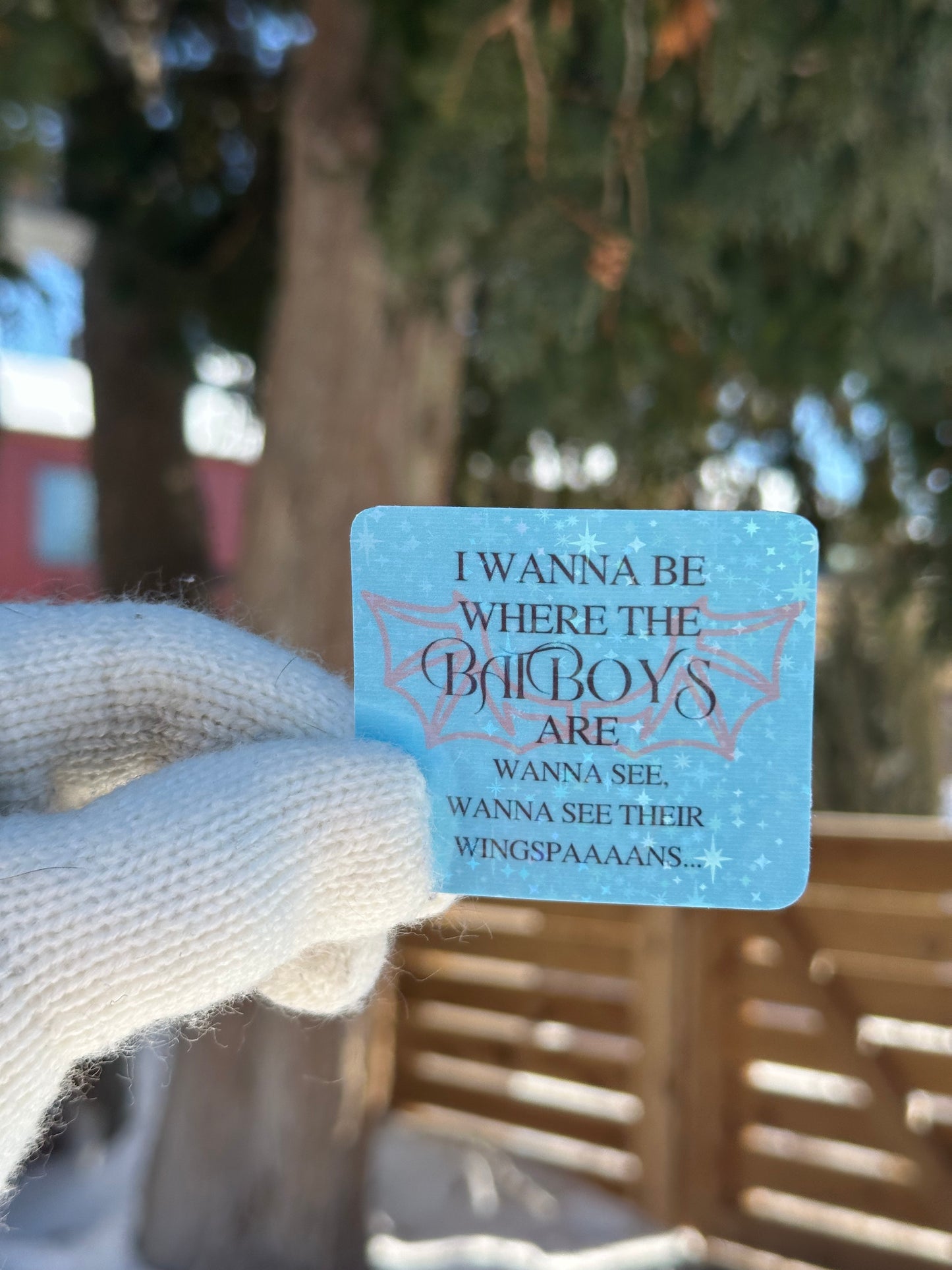 I Wanna Be Where the Bat Boys Are Vinyl Sticker – ACOTAR Inspired, Empowered Book Girlies Collection